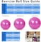 ULTIMAX 65CM Yoga Ball &ndash; Premium Exercise Ball for Fitness, Stability, and Core Training (Pink)