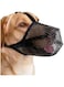 Dog Muzzle with Mesh Cover Muzzle for Small Medium Large Dogs, Prevent Biting Barking and Licking(Black) (L)