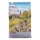 Ancient Mountain Canine Recipe 2.27kg &ndash; Grain-Free, High-Protein Dog Food