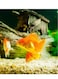 2-4 mm Multiuse Super Naturals Golden Sand Aquarium Substrate For Fish Tank-3kg
