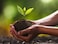 Vsell24 Enriched Organic Potting Soil-6 kg (20L)  with Micro Nutrients for Healthy Plants