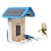 Smart Bird Feeder with WI-FI Camera-BF11