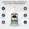 AUTO FAMILY Classic Cologne Car Air Freshener Diffuser, Long-Lasting Aroma Freshener, Essential Oil Fragrance, Spill-Proof, Compact Air Purifier for Vehicle, Home &amp; Office &ndash; Refreshing Scent