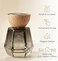 AUTO FAMILY Zen Tea in the Forest Car Air Freshener Perfume Diffuser, Long Lasting Car Fragrance, Luxury Glass Auto Air Freshener, Essential Oil Car Diffuser, Small Compact Car Perfume for Vehicle