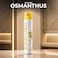 AUTO FAMILY Rose, Lavender, Osmanthus Combo Pack of 3, 380ml Air Freshener Spray, Room &amp; Car Air Freshener Spray, Long Lasting Fragrance, Non-Toxic Water Based Odor Eliminator