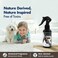 AUTO FAMILY New Passion Air Freshener &amp; Deodorizer Spray for Car &amp; Home &ndash; Smoke Odor Eliminator, Long-Lasting Fragrance, Room &amp; Fabric &ndash; Fresh Clean Scent