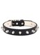 MUZIEBA Dog Collar with Spikes,Rivet Dog Collar, Leather Spiked Studded Dog Pet Collars for Small Medium Large Dogs (M: for Neck Girth: 11 4/5-15 in, Black)