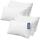 CRAFT&Acirc;&reg; Soft Cushion Fillers - Set of 6 Microfiber Inserts (16" X 24")