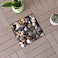 Premium Indian Stone Pebbles(3-5cm) 5 kg: Polished Natural Gravel for Aquariums