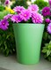 Vibrant Green Plastic Flower Pot &ndash; Durable and Stylish Plant Container for Indoor &amp; Outdoor Use ( 3 PCs , Medium)