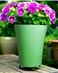 Vibrant Green Plastic Flower Pot &ndash; Durable and Stylish Plant Container for Indoor &amp; Outdoor Use ( 3 PCs , Medium)