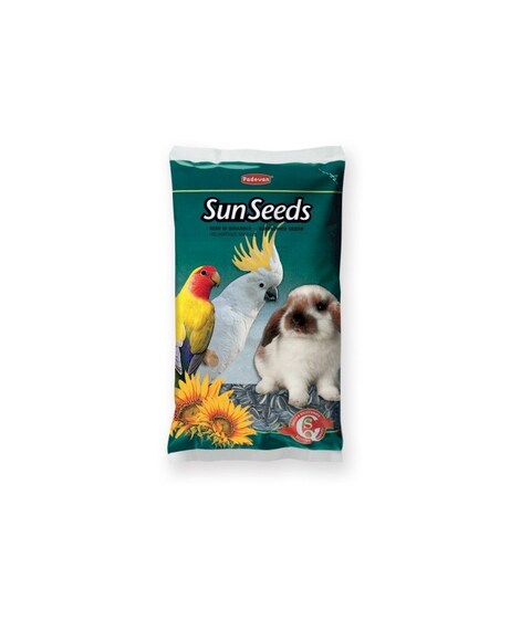 Pack of 2 Padovan Sunseeds[Weight - 500g, Size - M]
