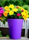 Vibrant Purple Plastic Flower Pot &ndash; Durable and Stylish Plant Container for Indoor &amp; Outdoor Use ( 3 PCS, Large )