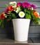 Vibrant White Plastic Flower Pot &ndash; Durable and Stylish Plant Container for Indoor &amp; Outdoor Use ( 3 PCs, Medium )