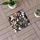 Polished Indian Stone 3 kg (1-2cm) Aquarium Pebbles Natural Gravel Fish Tank Stones