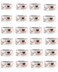 pack of 24 Kit Cat Chicken &amp; Salmon (80gx24pcs)