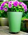 Vibrant Green Plastic Flower Pot &ndash; Durable and Stylish Plant Container for Indoor &amp; Outdoor Use (3 PCs, Small)