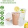 Vsell24&trade; 1000PC Disposable Drinking Plastic Cup 10oz For Smoothie Coffee Water Juice Cups With Flat Lid Clear&hellip;