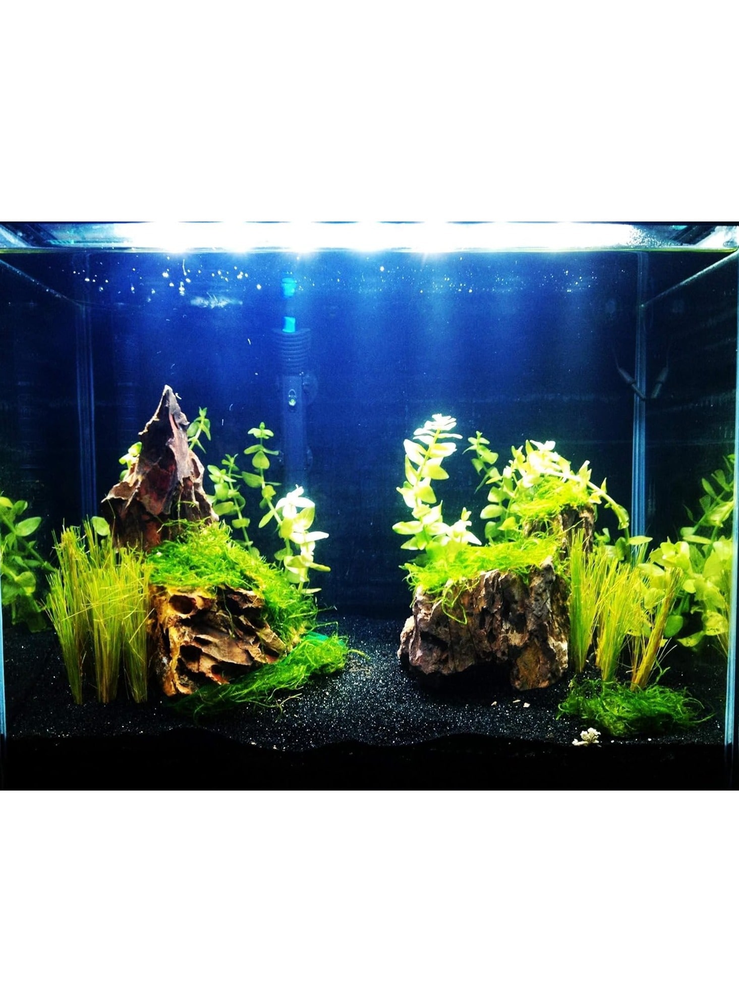 Black Tank Sand