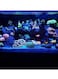 10kg Eco-Friendly Green Aquarium Sand 40-80&micro;m: Perfect for Aquascaping, Water Filtration, and Natural Habitat Creation.