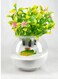 Glass Aquarium Bowl 4.5-Inch with Integrated Decorative Plant Holder with Lid (Medium)