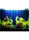 5kg 2-4mm Super Naturals River Black Sand Aquarium Substrate For Fish Tank Vase Fillers, Fairy Garden, Landscaping Black Plant Soil For Pot Decorations
