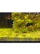 2kg Premium Yellow Aquarium Sand 80-120&micro;m: Ideal Fine-Grain Substrate for Aquascaping, Water Clarity, and Natural Fish Habitats