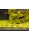 5kg Premium Yellow Aquarium Sand 80-120&micro;m: Ideal Fine-Grain Substrate for Aquascaping, Water Clarity, and Natural Fish Habitats