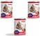 Pack of 3 Bioline Canned Cat Food 375g-[Flavor - Beef]