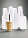 20oz Clear Disposable Plastic Juice Cups-250pcs-Dome Lid