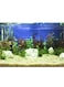 3 KG Crystal Sand 2-4mm: Ideal for Aquascaping, Water Filtration, Terrariums, Crafting, and Natural Aquarium Substrates.