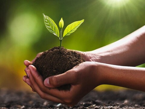 Vsell24 Bio Tech Potting Soil-1,5 kg (5L) Advanced Organic Mix with Beneficial Microbes for Thriving Plants