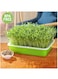 Seed Sprouter Tray with Lid Effortless Growth Solution for Healthy Sprouts Set of 2PC