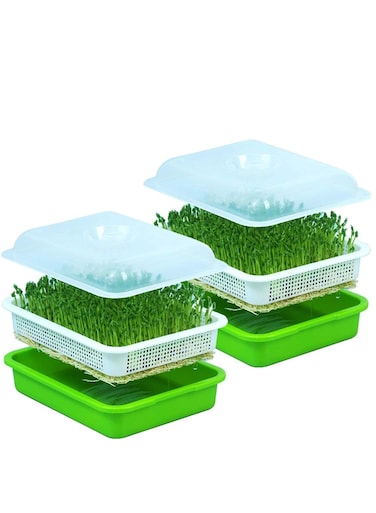 Seed Sprouter Tray with Lid Effortless Growth Solution for Healthy Sprouts Set of 2PC