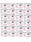 24PC Kit Cat Chicken &amp; Prawn 80g