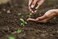 Vsell24 Premium Bio Tech Potting Soil-3 kg (10L) Innovative Blend with Enhanced Nutrient Availability and Moisture Control