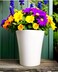 Vibrant White Plastic Flower Pot &ndash; Durable and Stylish Plant Container for Indoor &amp; Outdoor Use ( 3 PCs, Small )