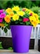 Vibrant Purple Plastic Flower Pot &ndash; Durable and Stylish Plant Container for Indoor &amp; Outdoor Use ( 3 PCS ,Small)