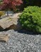 Natural 8-12mm Gravel Chips 2 kg- Enhance Your Garden, Aquarium, Outdoor Spaces