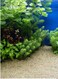 2-4 mm Multiuse Super Naturals Golden Sand Aquarium Substrate For Fish Tank-20kg