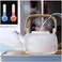 Glass Teapot with Infuser,Tea Pot Stovetop Safe,Coffee Kettle with Removable Strainer,Suitable for Blooming Tea &amp; Loose Leaf Tea Maker (teapot 900ml)