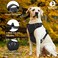 No Pull Dog Harness for Small Medium Large Dogs Adjustable Reflective Pet Vest with Front Clip Padded Harness for Puppy Easy Control Handle