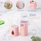Portable Rechargeable Handheld Face Nano Mist Spray hair and facial steamer ion water mist spray (pink)