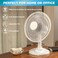 Table Fan with Adjustable Tilt, Convenient Push Button Controls, Quiet, 12 inch, 3 Speed, Desk Fan, Airflow 15.75 ft/sec, Ideal for Home, Bedroom, Dorm &amp; Office (White)