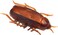 Fake Cockroach Toy, Highly Simulated Electronic Cockroach Toy for Scary Decoration