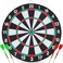 12 inch Grid Dart Board with 4 Darts for Steel Tip Darts Tournament Dartboard with Staple-Free Ultra-Thin Wire Spider Indoor or Outdoor