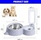Automatic Pet Feeder with Water Dispenser   Stainless Steel Dog &amp; Cat Food Bowl Set   2-in-1 Food and Water Bowl, Non-Slip Design for Small Dogs and Cats, Gray