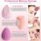 7 PCS Beauty Blender Makeup Sponge Set, Big and Mini Blender Sponges for Liquid, Creams and Powders, Foundation Blending Sponge Cosmetic Puff