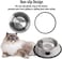 Rapsrk Stainless Steel Cat/Dog Bowls with Rubber Base Non-Slip Kitten/Rabbit/Puppy Dish,Pets Feeder Bowl and Water Bowl