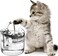 Cat Water Fountain, Dog Water Dispenser, Automatic Pet Drinking Fountain with Faucet Kits, 64oz/1.8L Super Quiet, Transparency